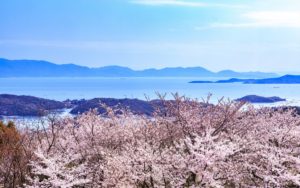 春の岡山を旅しようPC