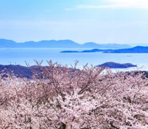 春の岡山を旅しようSP